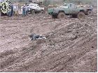 Mud2004 556_.jpg